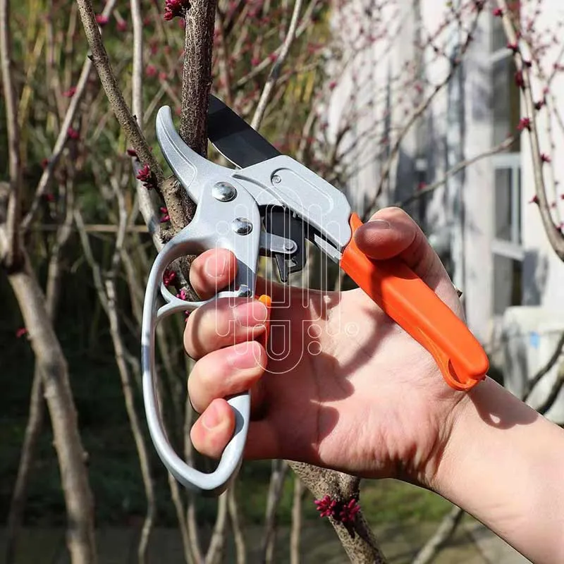 مقص تقليم الحدائق الفولاذي